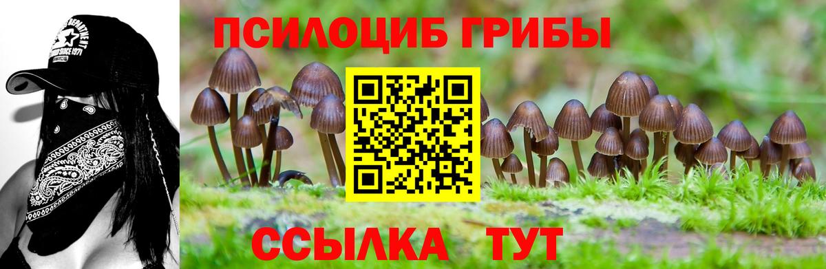Семилуки  Псилоцибиновые грибы Cubensis  Галлюциногенные грибы ЛСД  цены   Вход с VPN 